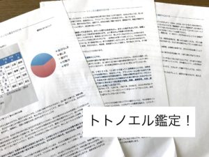 Read more about the article トトノエル鑑定受けました！一言でいうと「春の川岸の太陽」