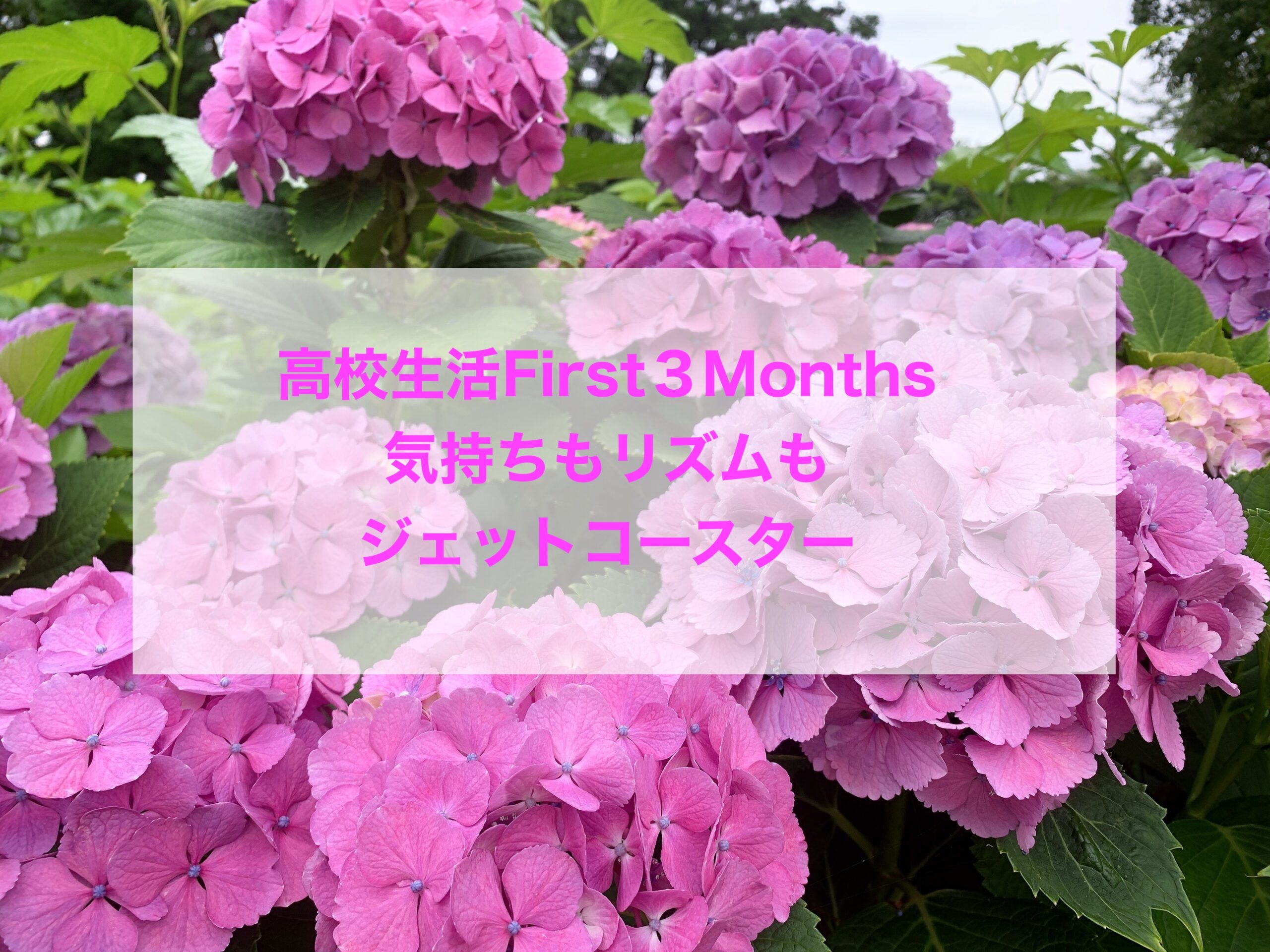 Read more about the article 高校生活First３Months は気持ちもリズムもジェットコースター